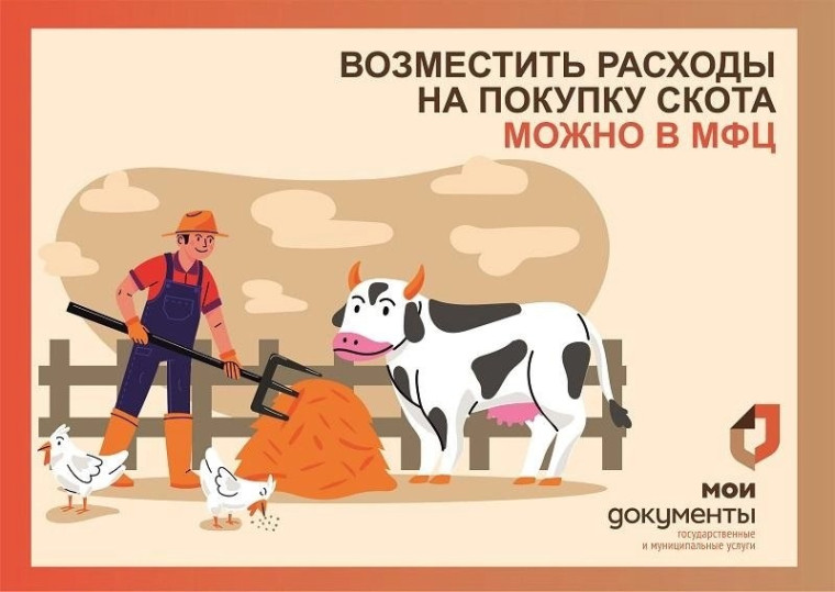 Центры «Мои Документы» Воронежской области помогут возместить расходы на покупку скота для подсобного хозяйства. Центры «Мои Документы» Воронежской области помогут возместить расходы на покупку скота для подсобного хозяйства.